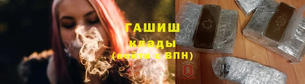 дмт Богданович