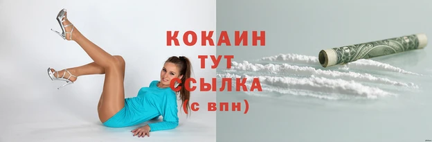 дмт Богданович