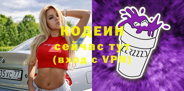 дмт Богданович