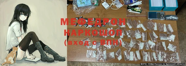 дмт Богданович