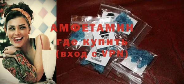 дмт Богданович