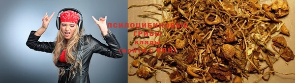 дурь Беломорск
