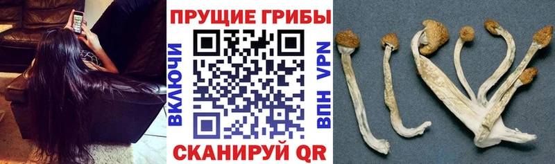 Галлюциногенные грибы мухоморы  Кимовск 